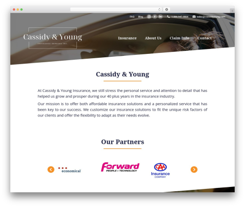 Best WordPress theme The7 - cassidyyoung.com