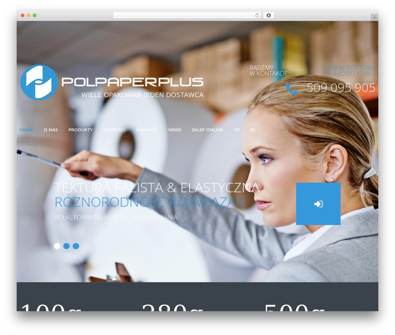 cherry best WordPress theme - polpaperplus.com