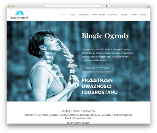 Divi theme WordPress - blogieogrody.com