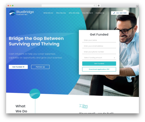 Appleicons (appleicons) free WordPress plugin - bluebridgefunding.com