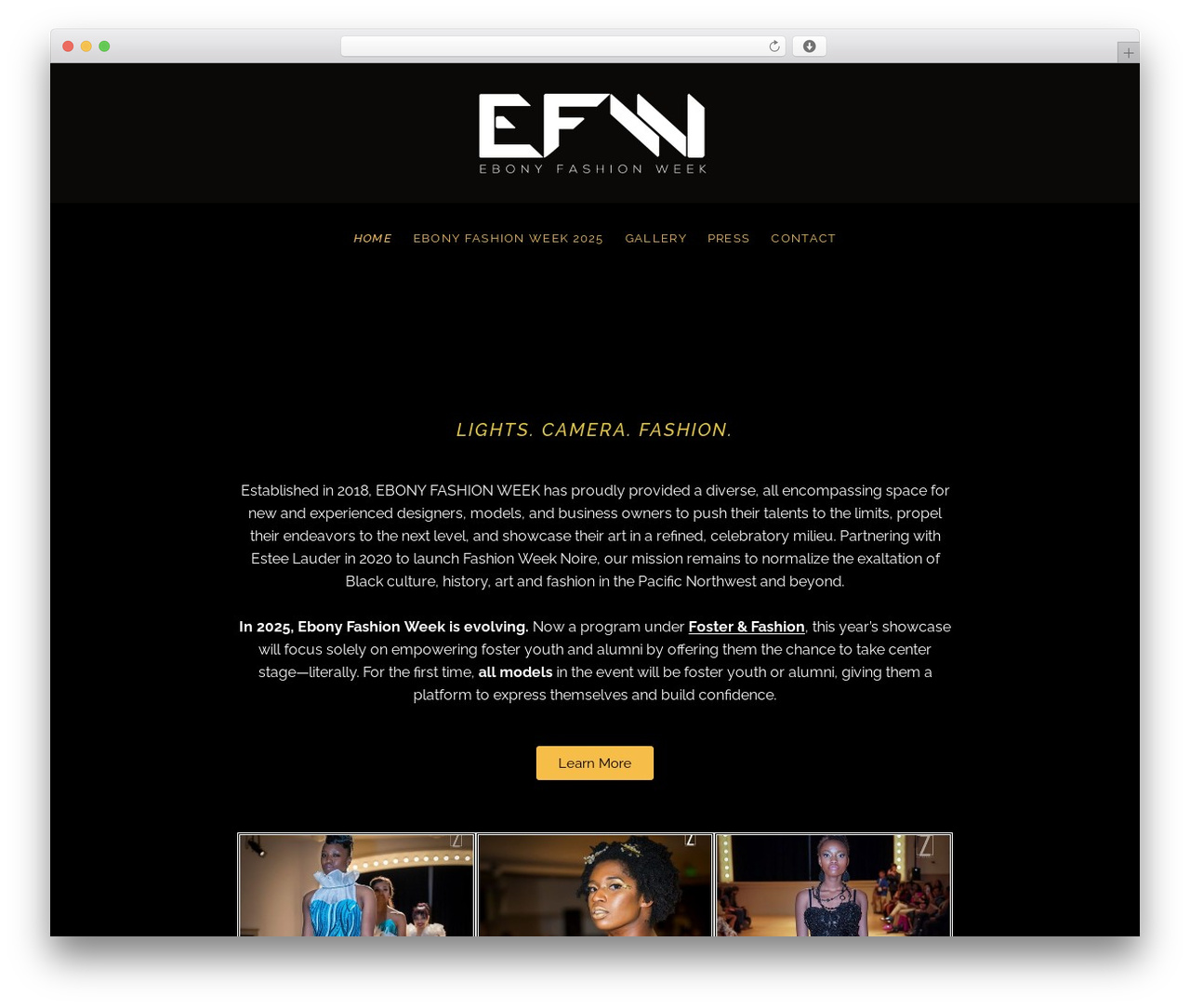 WordPress theme Ovation - ebonyfashionweek.com