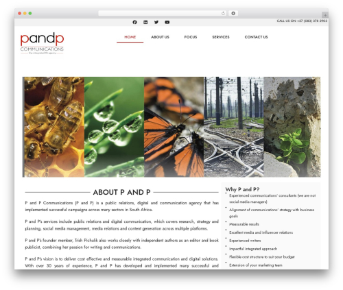 Extended widget options WordPress plugin - pandp.co.za
