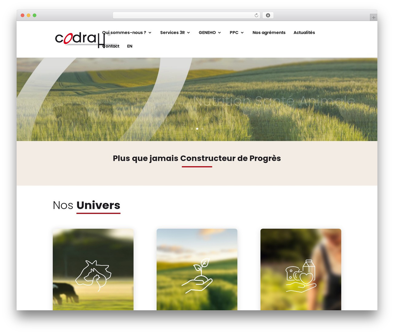 Divi theme WordPress - codrah.com Divi theme WordPress - codrah.com