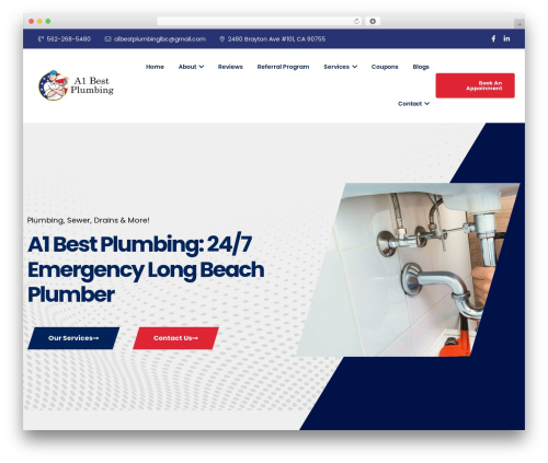 Dustrix theme WordPress - a1bestplumbing.com