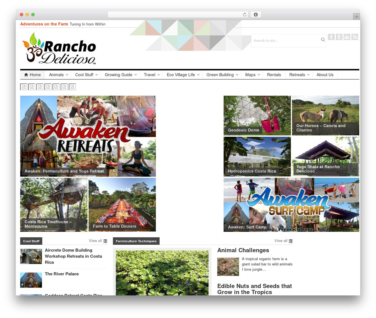patterns theme WordPress - ranchodelicioso.com patterns theme WordPress - ranchodelicioso.com