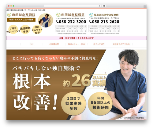 Selfull WordPress theme - chusetsushinkyuseikotsuin.com