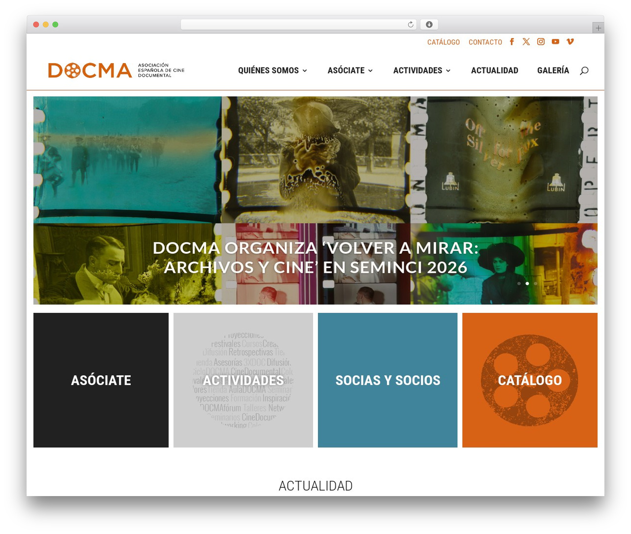 WordPress theme Divi - docma.es