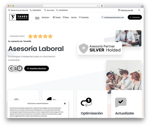 WordPress theme Essentials - asesoriayanes.com