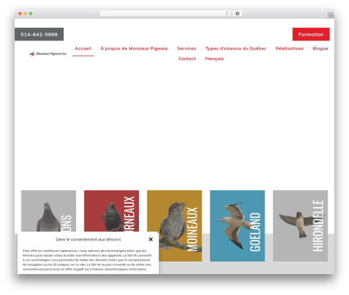 Captcha plus WordPress plugin - mpigeons.com