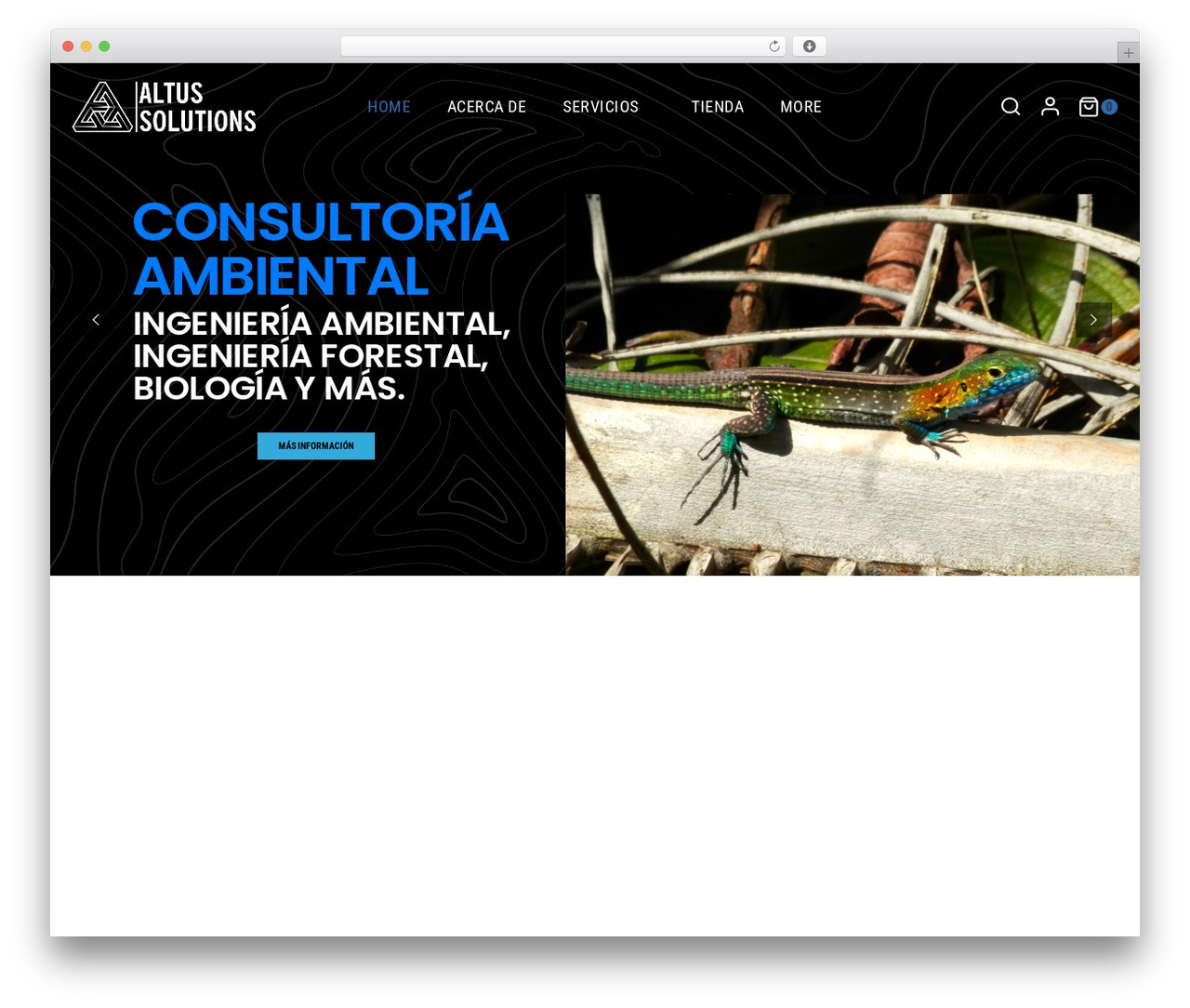 Basetheme WordPress theme - altusolutions.com Basetheme WordPress theme - altusolutions.com
