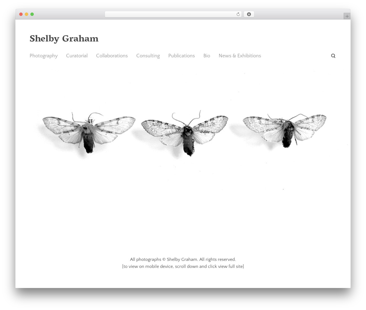Bindery WordPress theme - shelbygrahamart.com Bindery WordPress theme - shelbygrahamart.com