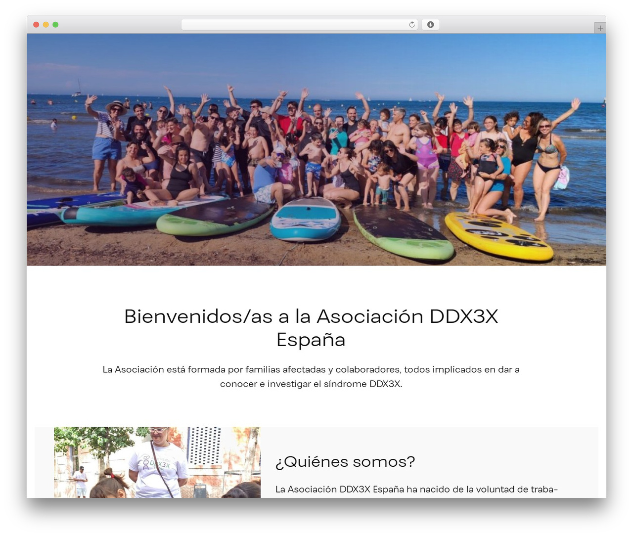 Constructor WP theme - asociacionddx3x.es Constructor WP theme - asociacionddx3x.es