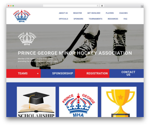 Tswp WordPress plugin - pgmha.com