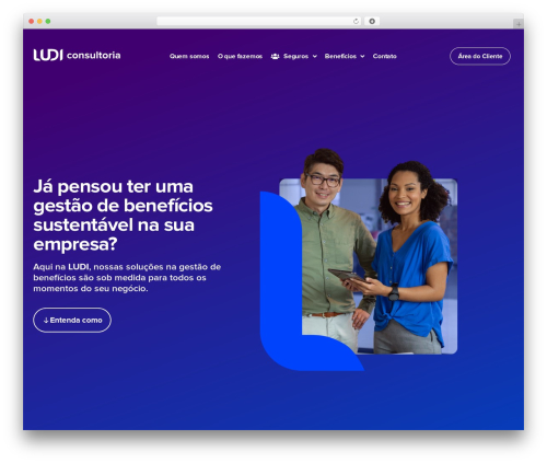 Modulify WordPress plugin - ludiconsultoria.com.br