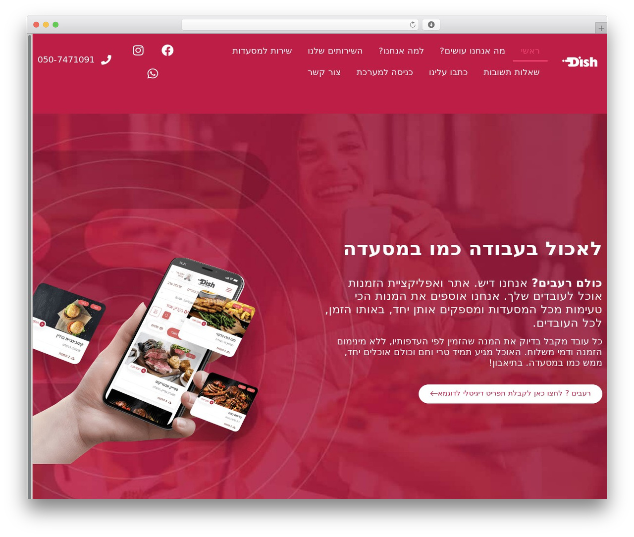 WordPress theme Hello Elementor - dish.co.il