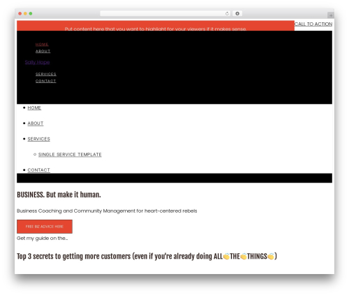 WordPress theme Launch It Theme - sallyhope.com