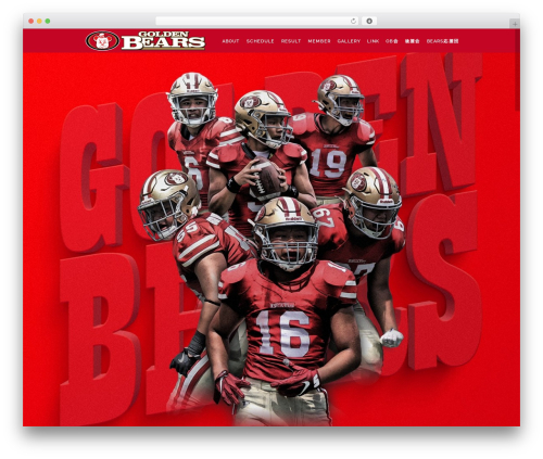 Share one drive WordPress plugin - golden-bears.football
