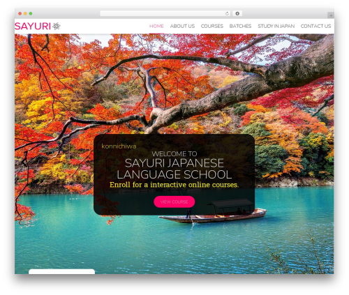 Proelements 3.33.2 WordPress plugin - sayuri.co.in