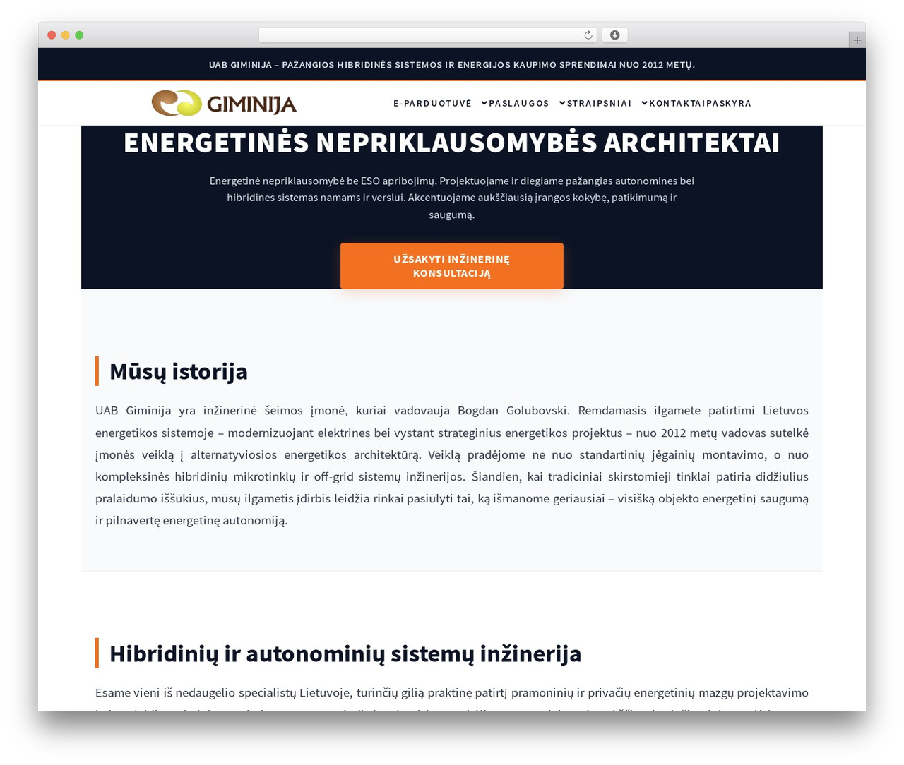 Storefront WordPress store theme - giminija.lt Storefront WordPress store theme - giminija.lt
