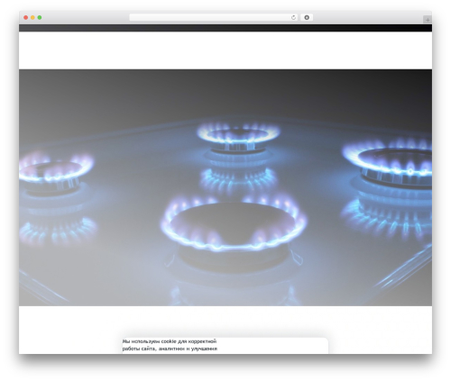 Rucookie WordPress plugin - td-np.ru