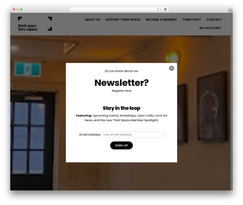 Themify Popup (themify-popup) free WordPress plugin - thirdspacegallery.ca