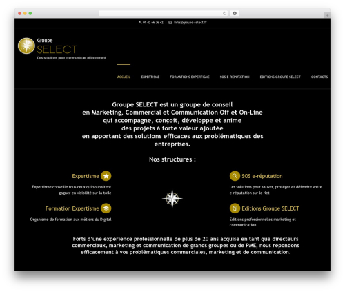 DP Evolve theme WordPress - groupe-select.com