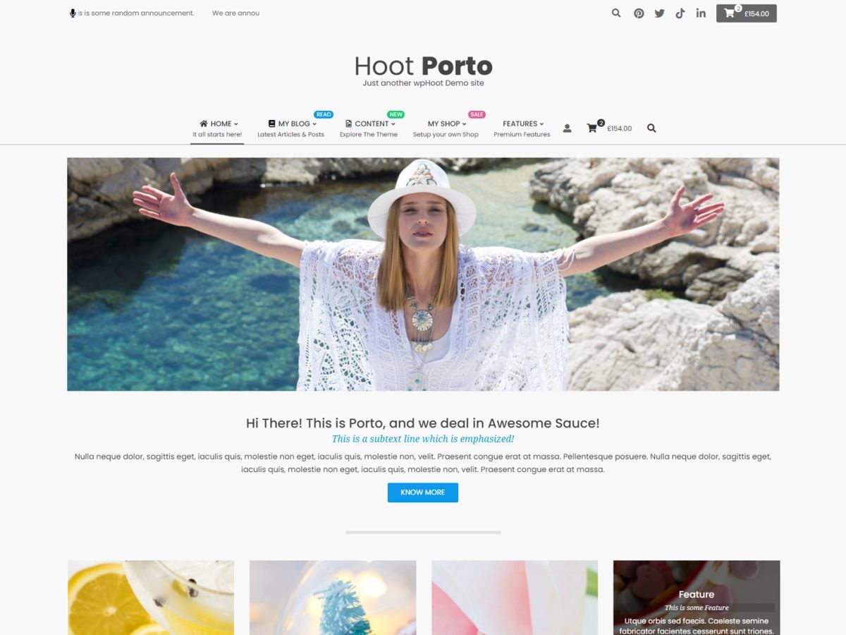 Hoot Porto WordPress template for business