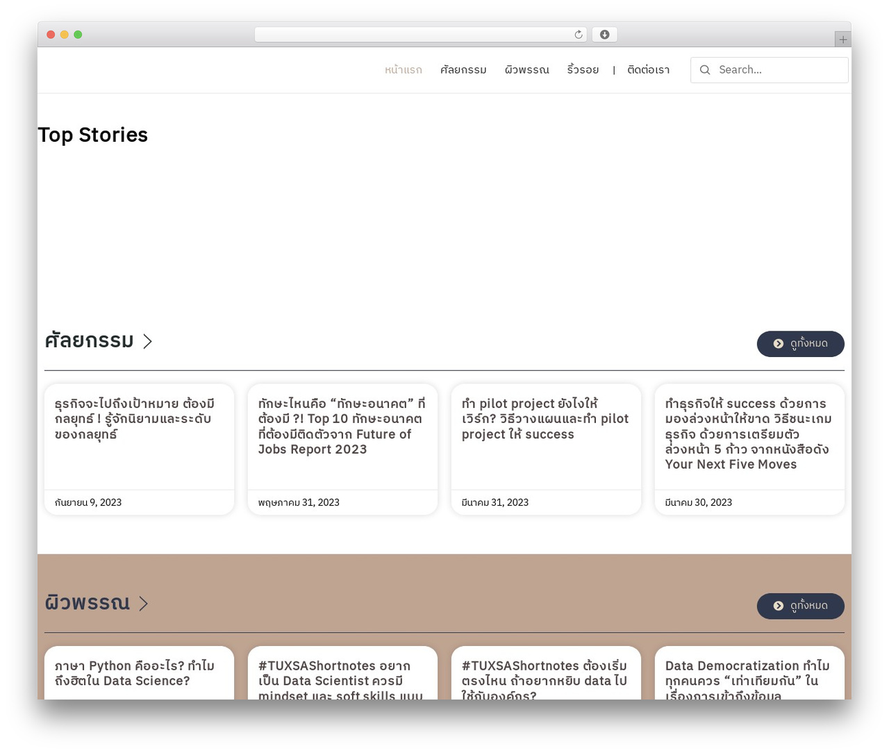 Paradiz Dev WordPress theme - bestthaiclinic.com