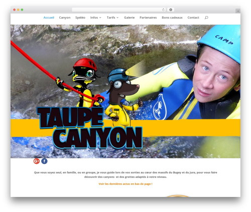 Divi WordPress theme - taupecanyon.com