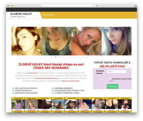 Expert Movers WordPress theme - zlobiveholky.cz Expert Movers WordPress theme - zlobiveholky.cz