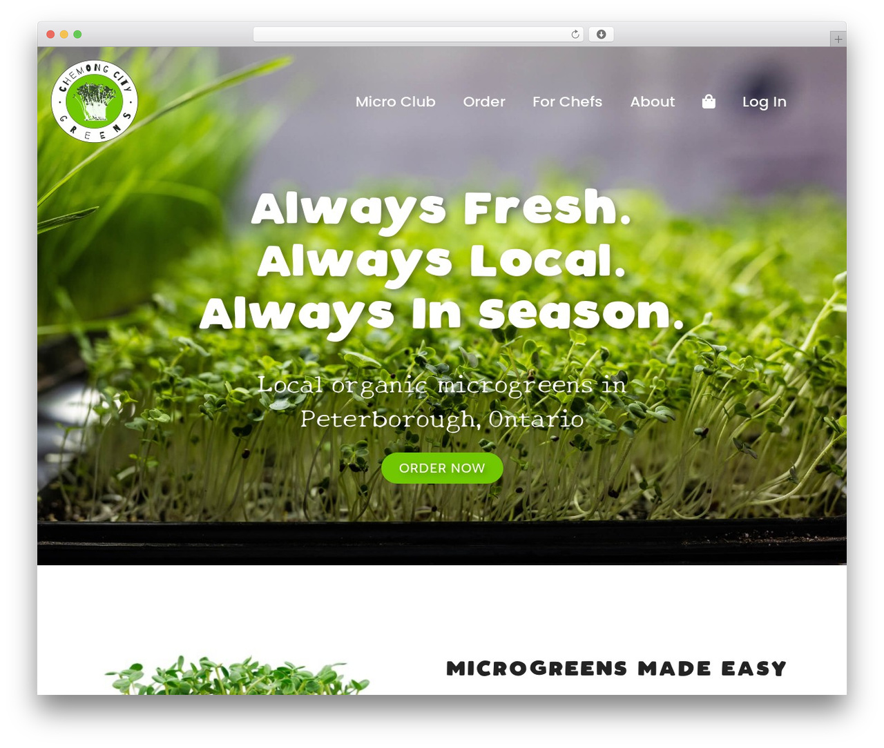 OrgaWP WordPress theme - chemongcitygreens.ca OrgaWP WordPress theme - chemongcitygreens.ca