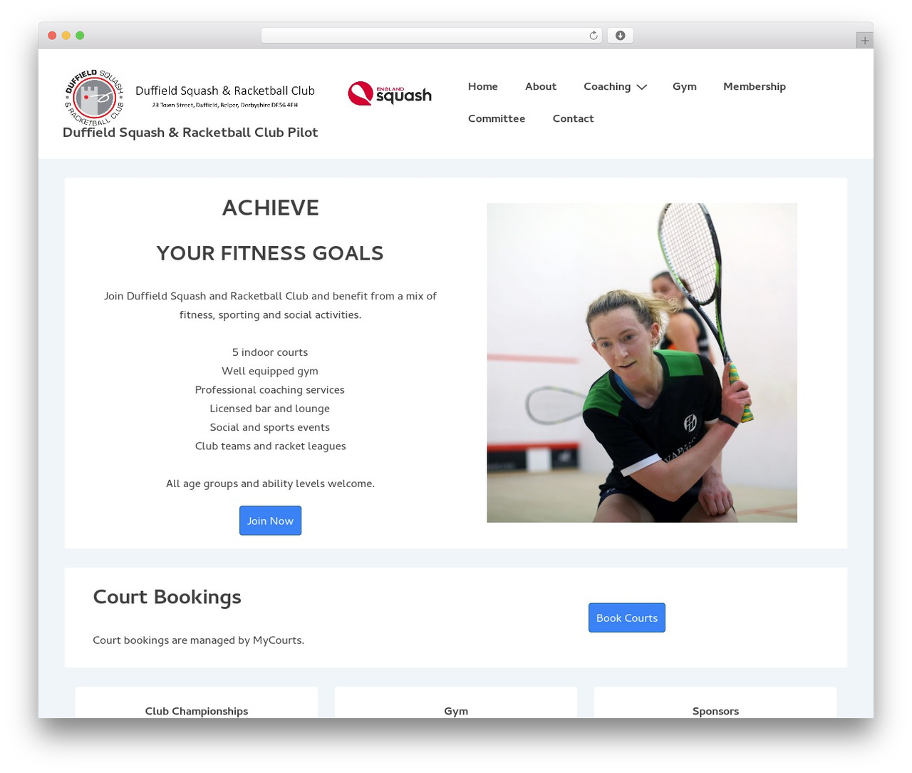 Responsive WordPress theme design - malysz.com