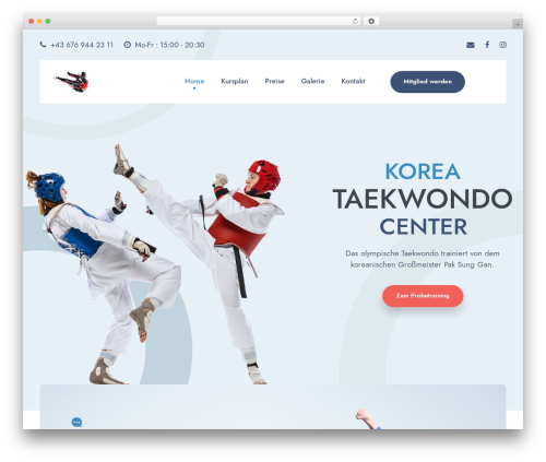 WP theme Yoku - paktaekwondo.com