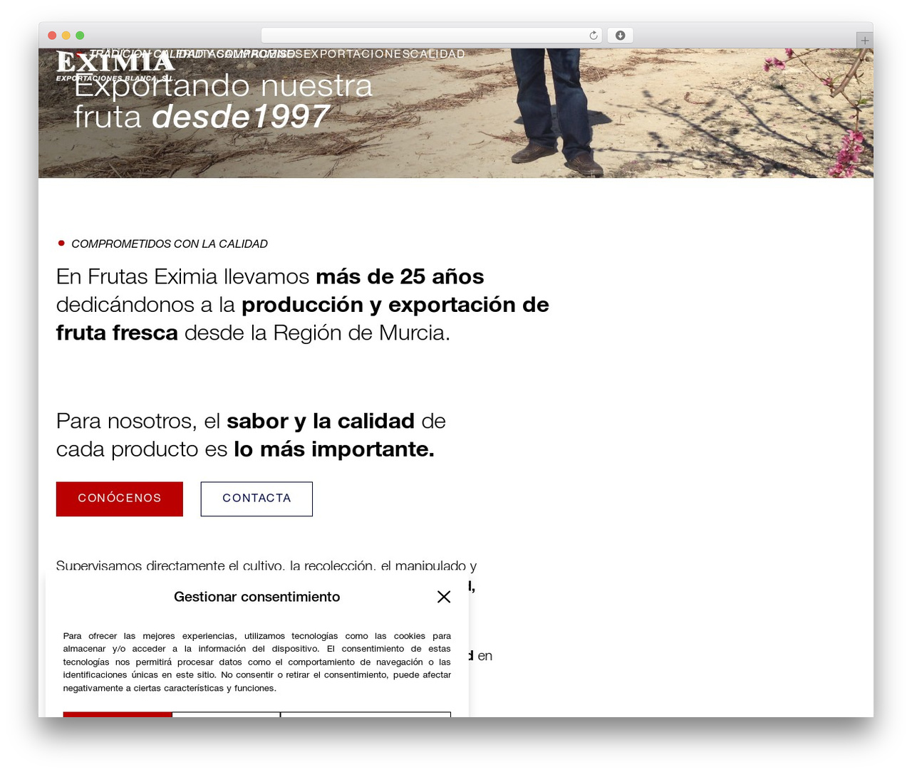 Hello Elementor WordPress theme design - frutaseximia.com Hello Elementor WordPress theme design - frutaseximia.com