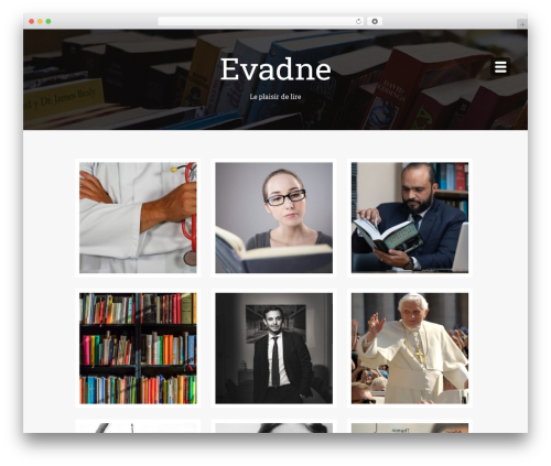 Masonry WordPress theme - evadne.fr