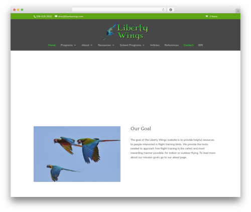 Wp custom css WordPress plugin - libertywings.com