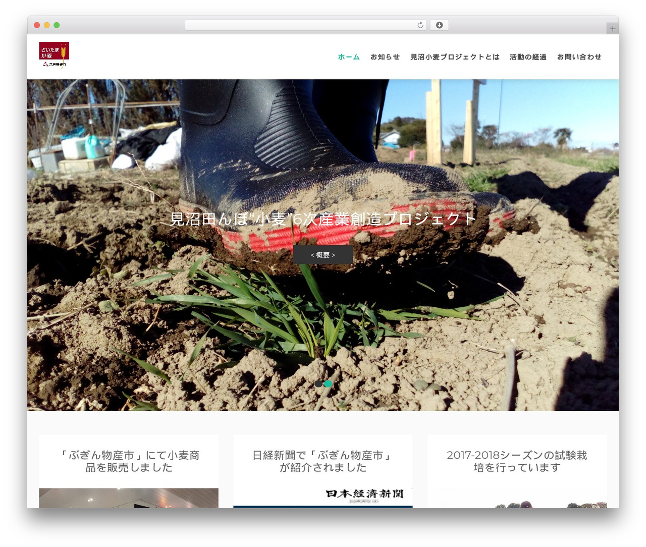 WordPress theme Bazaar Lite - minumakomugi.net