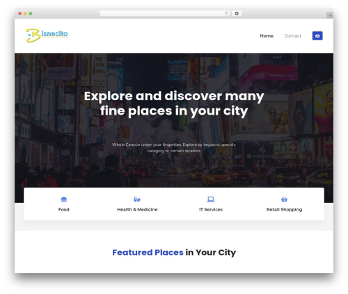 CitadelaWP WordPress theme - bisnecito.com