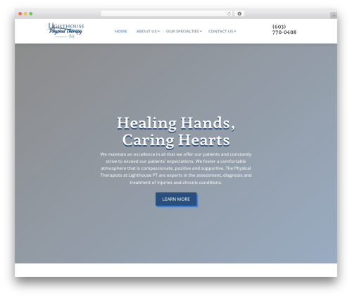 Ds gravity forms for divi WordPress plugin - lighthousept.com