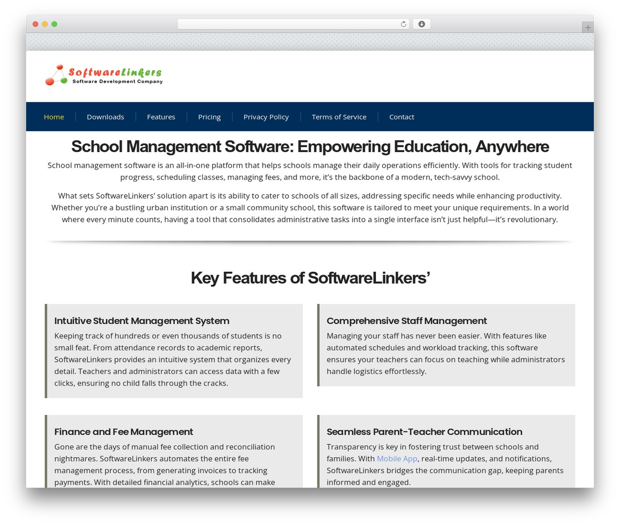 Consulting theme WordPress - softwarelinkers.biz