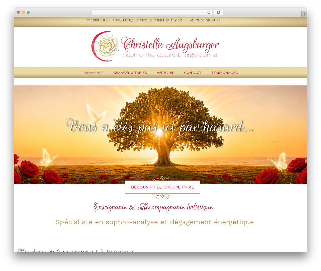 Hello Elementor best WordPress theme - christelle-therapeute.com