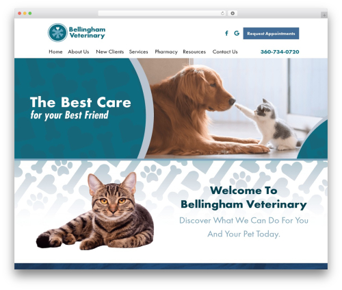 Google adwords lp WordPress plugin - bhamvet.com
