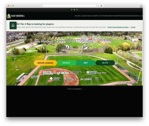 Tswp WordPress plugin - ajaxbaseball.com
