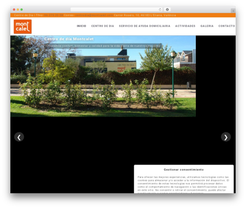 Theme WordPress Executive WordPress Theme - centrodiamontcalet.es