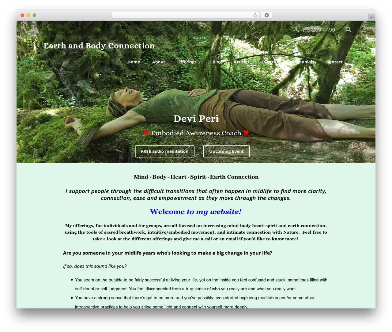 Optimizer PRO WordPress theme - deviperi.com