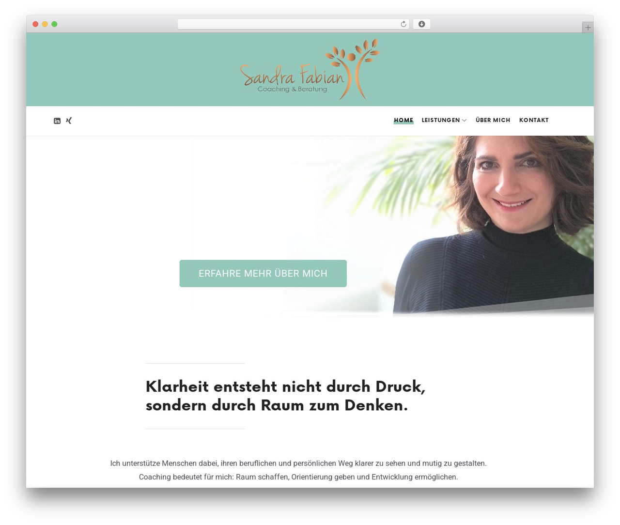 Theme WordPress Efor - sandrafabian.com