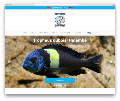 Gallery – Image and Video Gallery with Thumbnails (gallery-album) free WordPress plugin - pisces-il.com