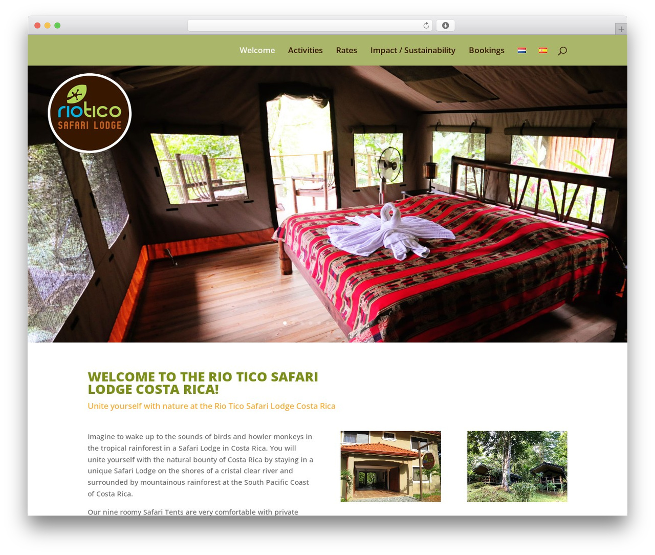 Divi WordPress theme - riotico.com Divi WordPress theme - riotico.com
