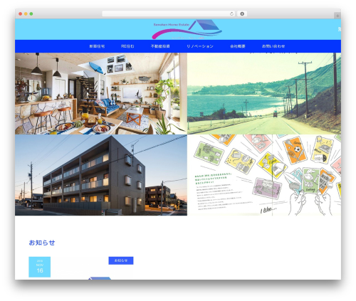 MAXX top WordPress theme - senoken.com