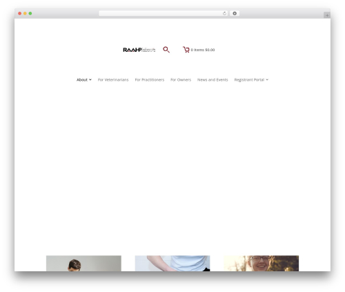 Divi modules image box WordPress plugin - raahp.com